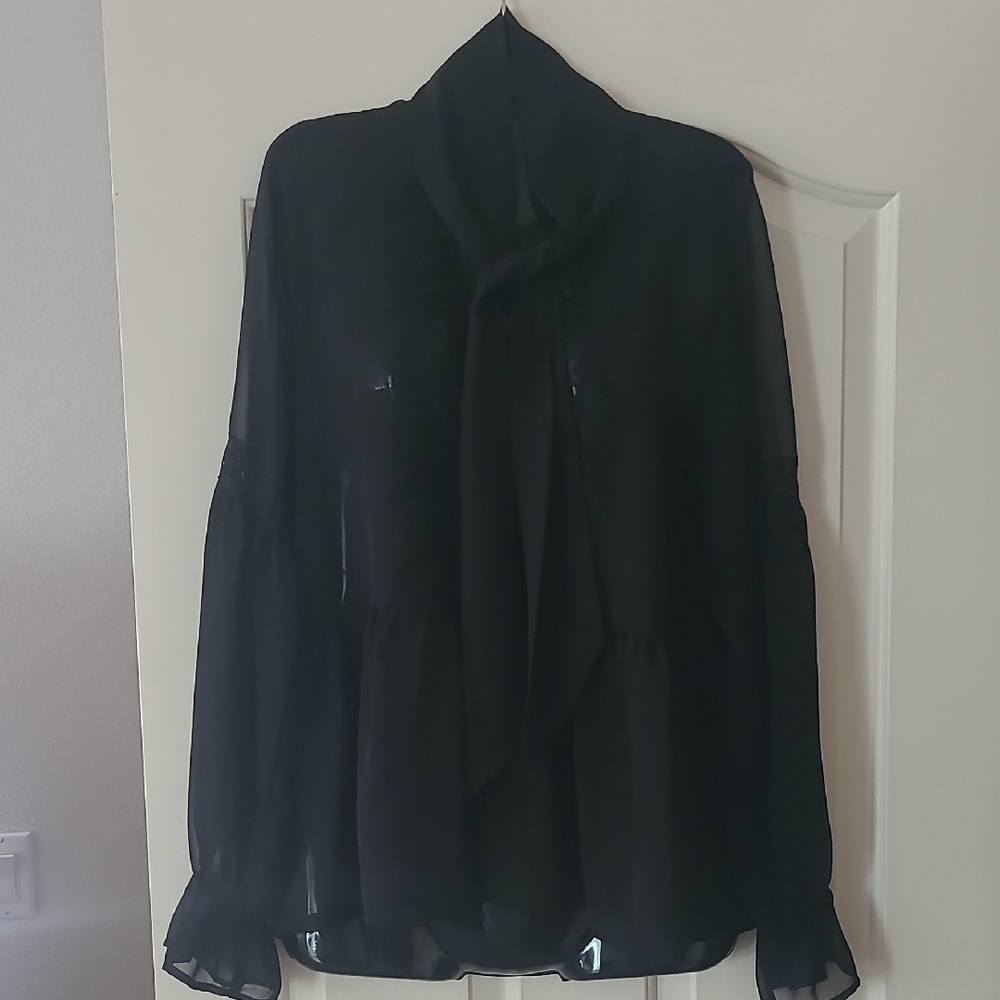 Sheer Blouse